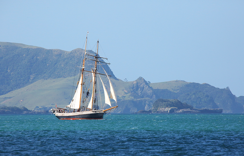 Sail on the R Tucker Thompson, Bay of Islands, NZ